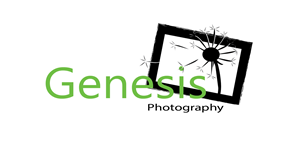 Logo Design by Airinia