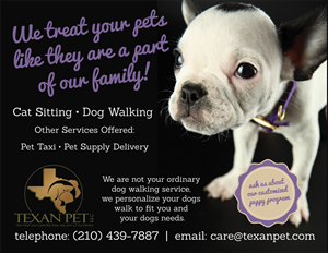Postcard Design by megancostill for Texan Pet LLC | Design #3630419