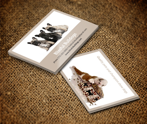 Business cards  | Business Card Design by pecas