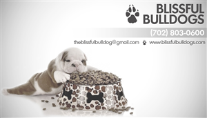 Business Card Design by ULX Studios for this project | Design: #3631749