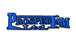 Logo Design by achim95