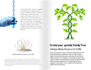 Brochure Design by an3