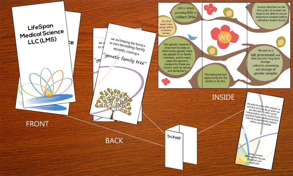 Diseño de Brochure por hmecdesign para LifeSpan Medical Science LLC | Diseño #3700991