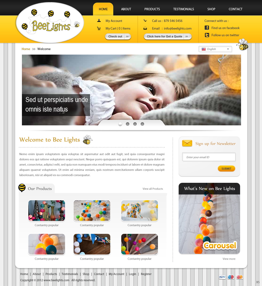 Diseño Web por pb para este proyecto | Diseño #917783