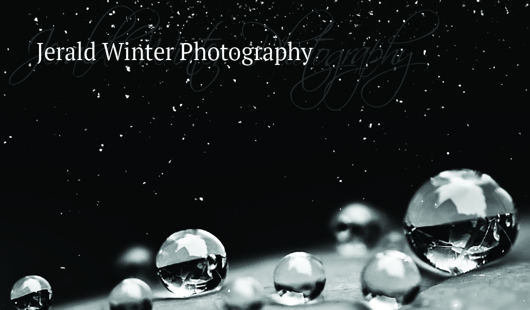 Business Card Design by Seoirse for Jerald Winter Photography LLC | Design #3643711