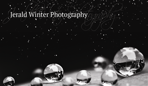 Design de Carte de Visite par Seoirse pour Jerald Winter Photography LLC | Design : #3643711