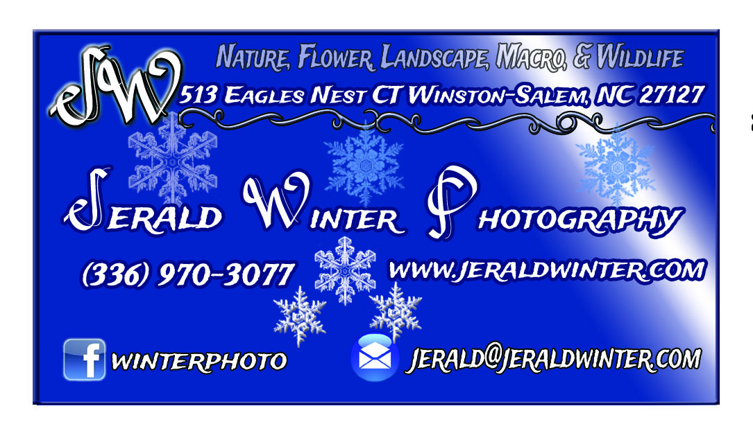 Business Card Design by HK Grafix for Jerald Winter Photography LLC | Design #3638753