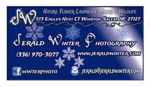 Design de Carte de Visite par HK Grafix pour Jerald Winter Photography LLC | Design : #3638753