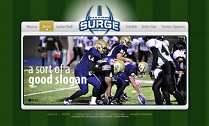 Web Design by jsondesigns for this project | Design: #100758