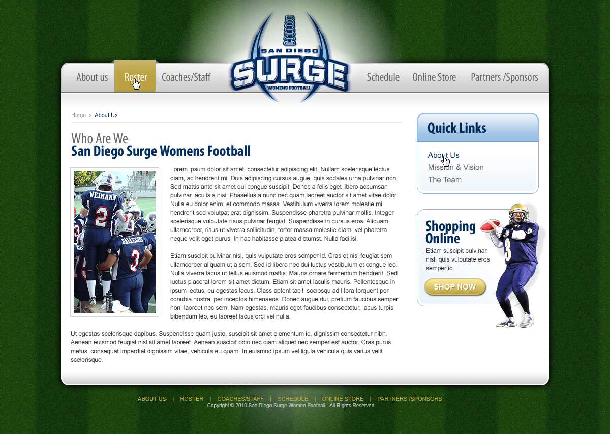 Web Design by jsondesigns for this project | Design #100824