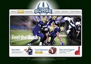 Web Design by jsondesigns for this project | Design: #101360