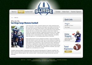 Web Design by jsondesigns for this project | Design: #101362