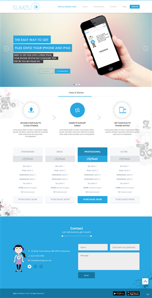 Web Design by pb for BigBox Software Ltd | Design: #3653107