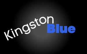 Logo Design by Modine Designs