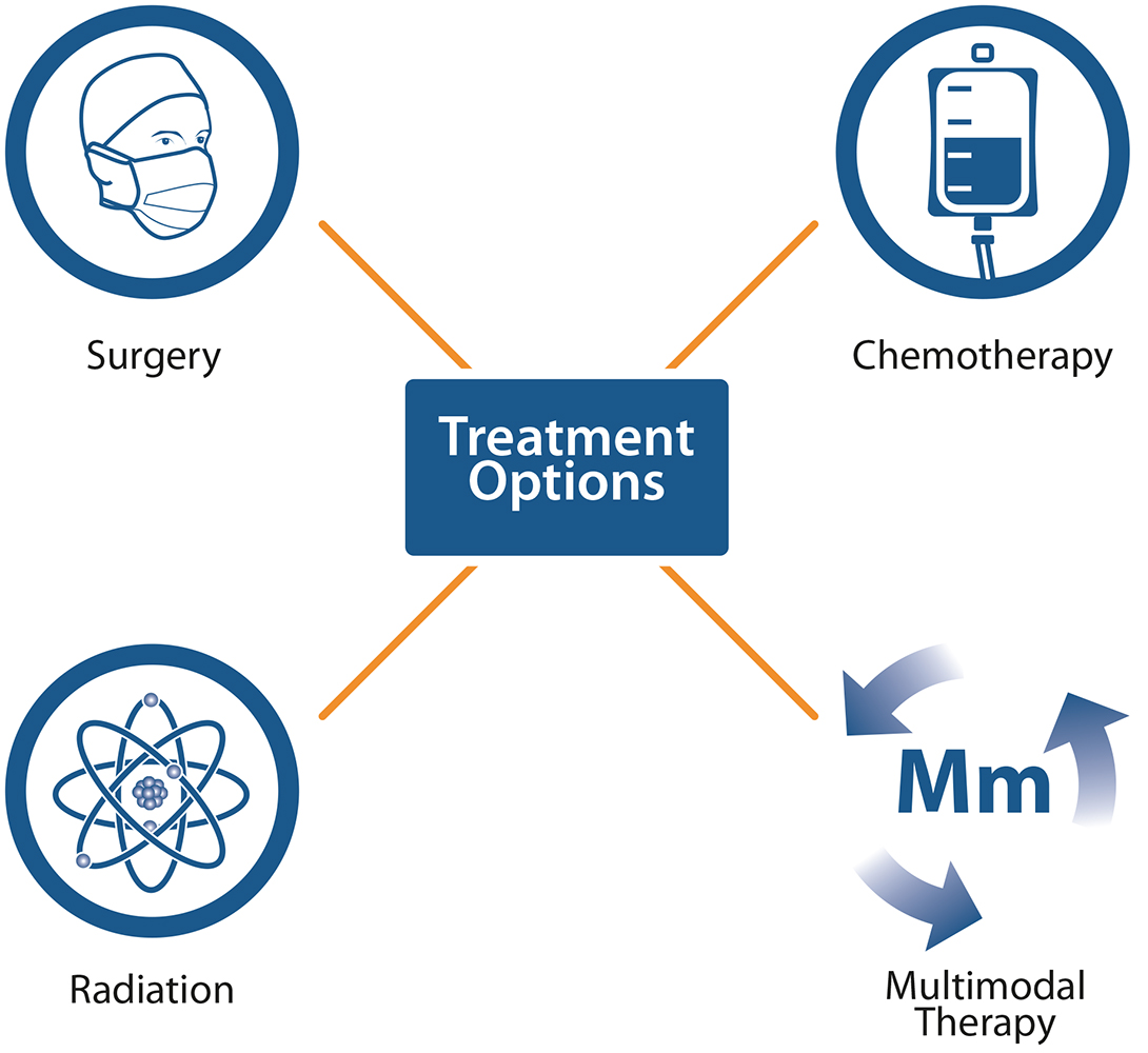 Illustration Design by rj holl Art Directions for Seeger Weiss LLP | Design: #3682094