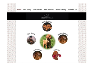 Diseño Web por RussellN para este proyecto | Diseño #3647150