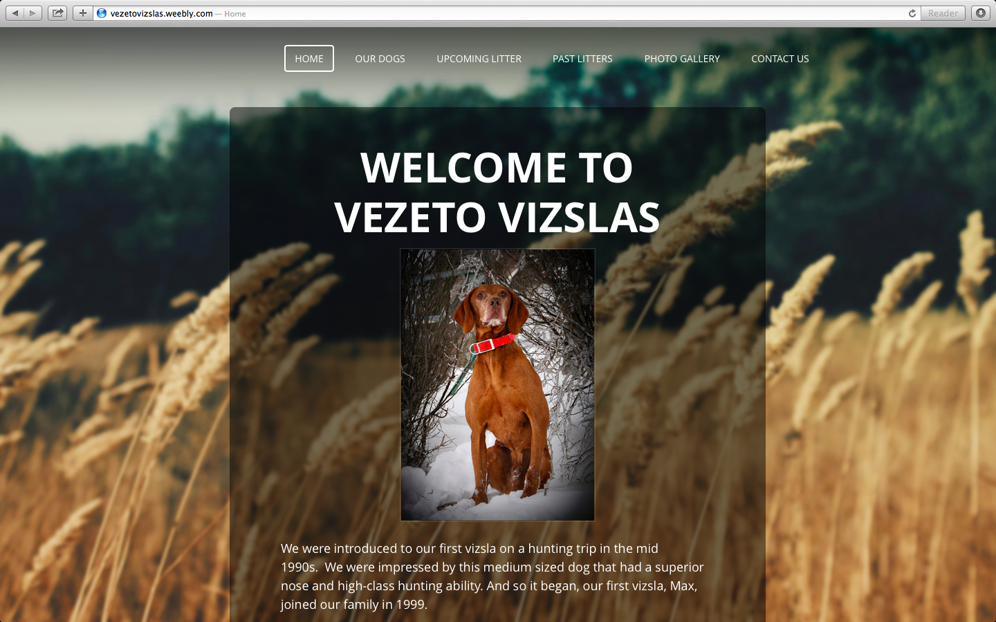 Web Design by hseabrightmorrison for this project | Design #3639189