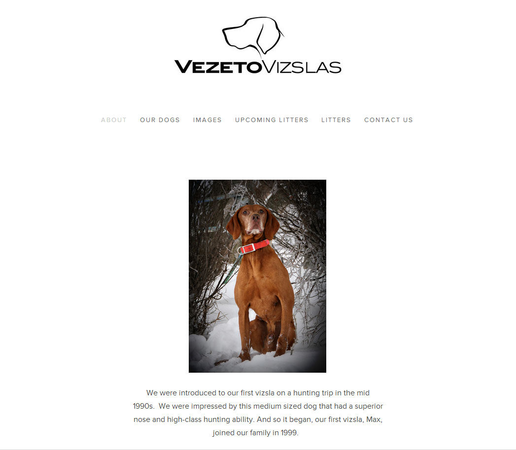 Web Design by StefanGassner for this project | Design #3664530