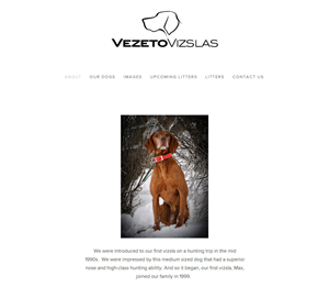 Diseño Web por StefanGassner para este proyecto | Diseño #3664530