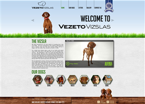 Web Design by RonaldFernandes