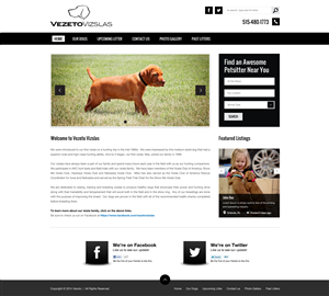 Diseño Web por Black Stallions Impressive Solutions para este proyecto | Diseño #3653993