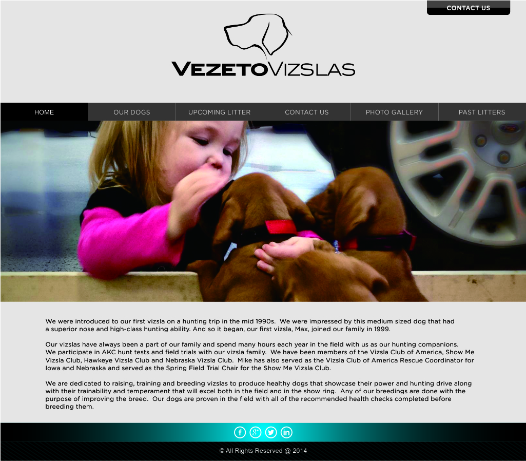 Diseño Web por barinix para este proyecto | Diseño #3652587