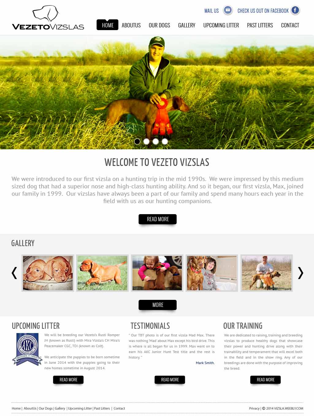 Web Design by Sukrutisolutions for this project | Design #3660588