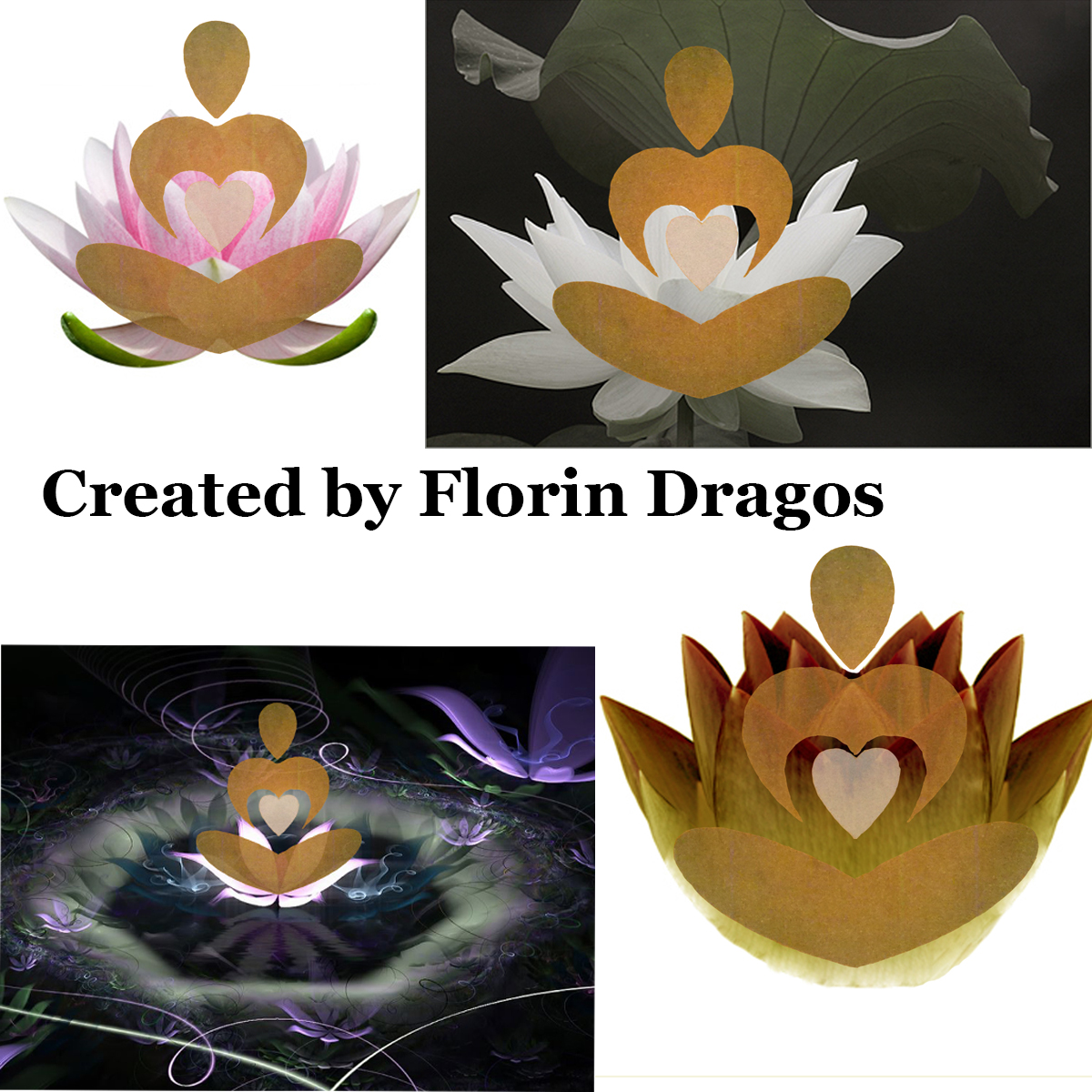 Logo Design by Florin Dragos for Asha Yoga Therapy Center | Design #3642178