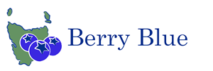 Logo Design by judith_qsj