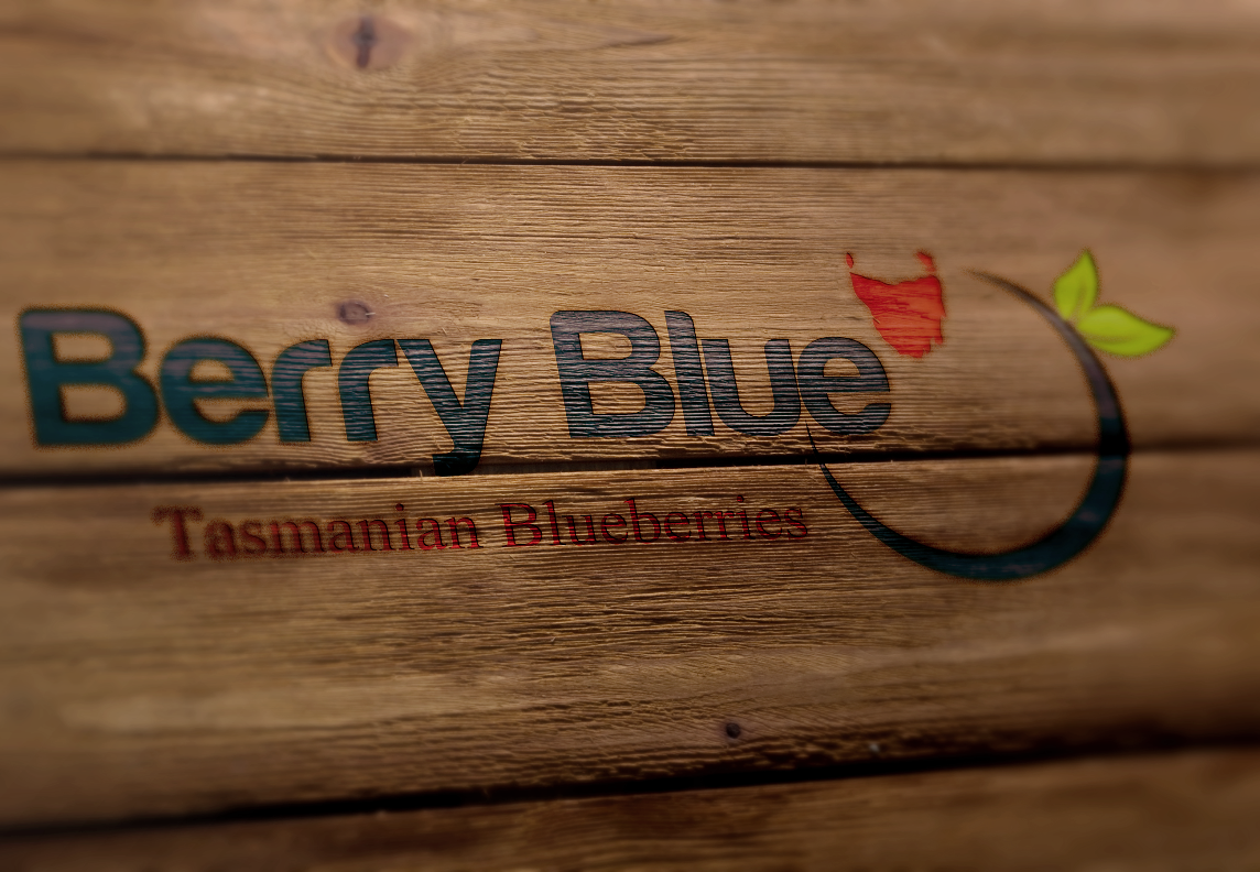 Design de Logo par adam5s pour Berry Blue | Design #3693212