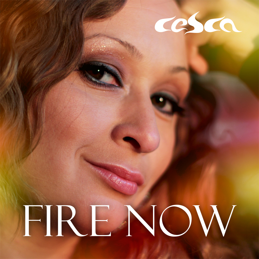 CD Cover Design by chawije for Lill' -bit Records | Design #3656805