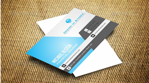 Business Card Design by AwsomeD for this project | Design: #3654145