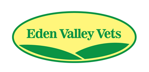 Logo Design by alisonblack