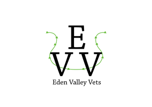 Logo Design by David Mohammadi