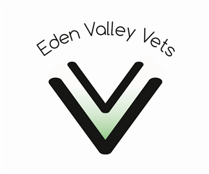 Logo Design by Heather Hollandsworth