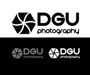 Logo Design by Designer Ashok