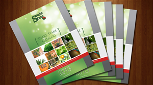 Katalog-Design von Biswajit für RDM | Design: #920914