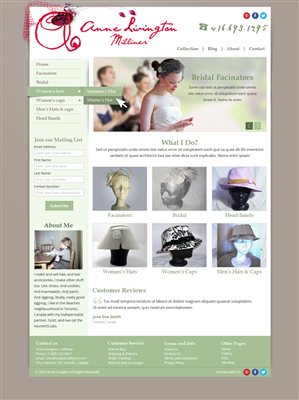 Web Design by Nelsur