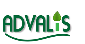 Logo Design by Fullayda