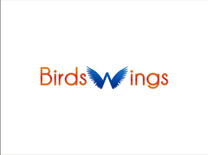 Logo Design by alexandru gutu for birdswings | Design: #925186