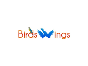 Logo Design by alexandru gutu for birdswings | Design: #933638