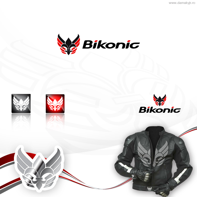 Logo Design by damakyjr for Picarsso Auto Spa | Design #107156