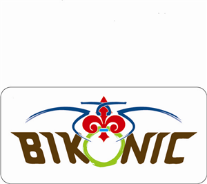 Logo Design by Joy & Design for Picarsso Auto Spa | Design: #105554