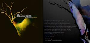 CD Cover Design Project