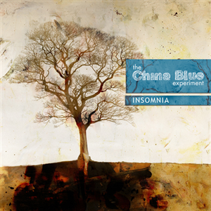 CD Cover Design by Diogo Landô for this project | Design #943260