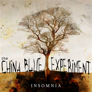 CD Cover Design by Diogo Landô for this project | Design: #943297