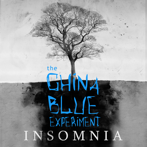 CD Cover Design by Diogo Landô for this project | Design #943539