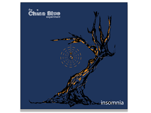 CD Cover Design by Destoche for this project | Design #940292