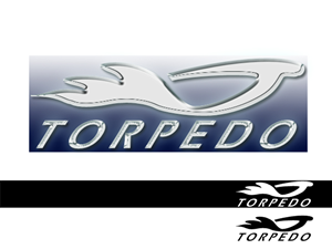 Logo Design by Erbay