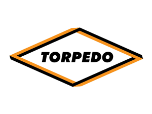 Logo Design by Designer Rajesh